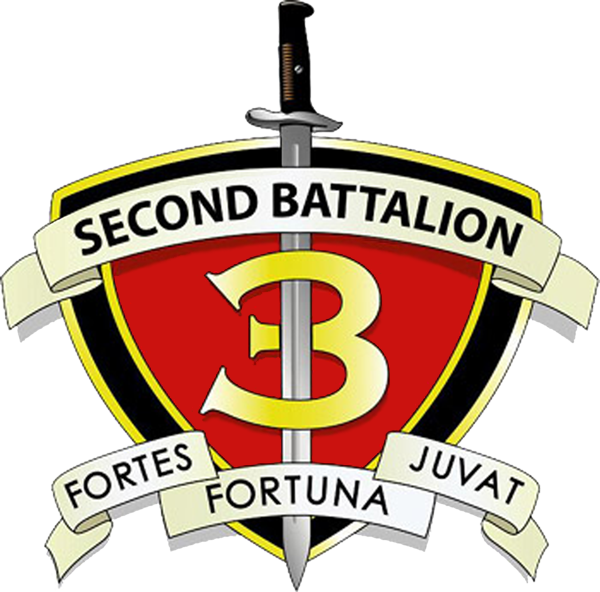 2d Bn 3d Marines (600x592)