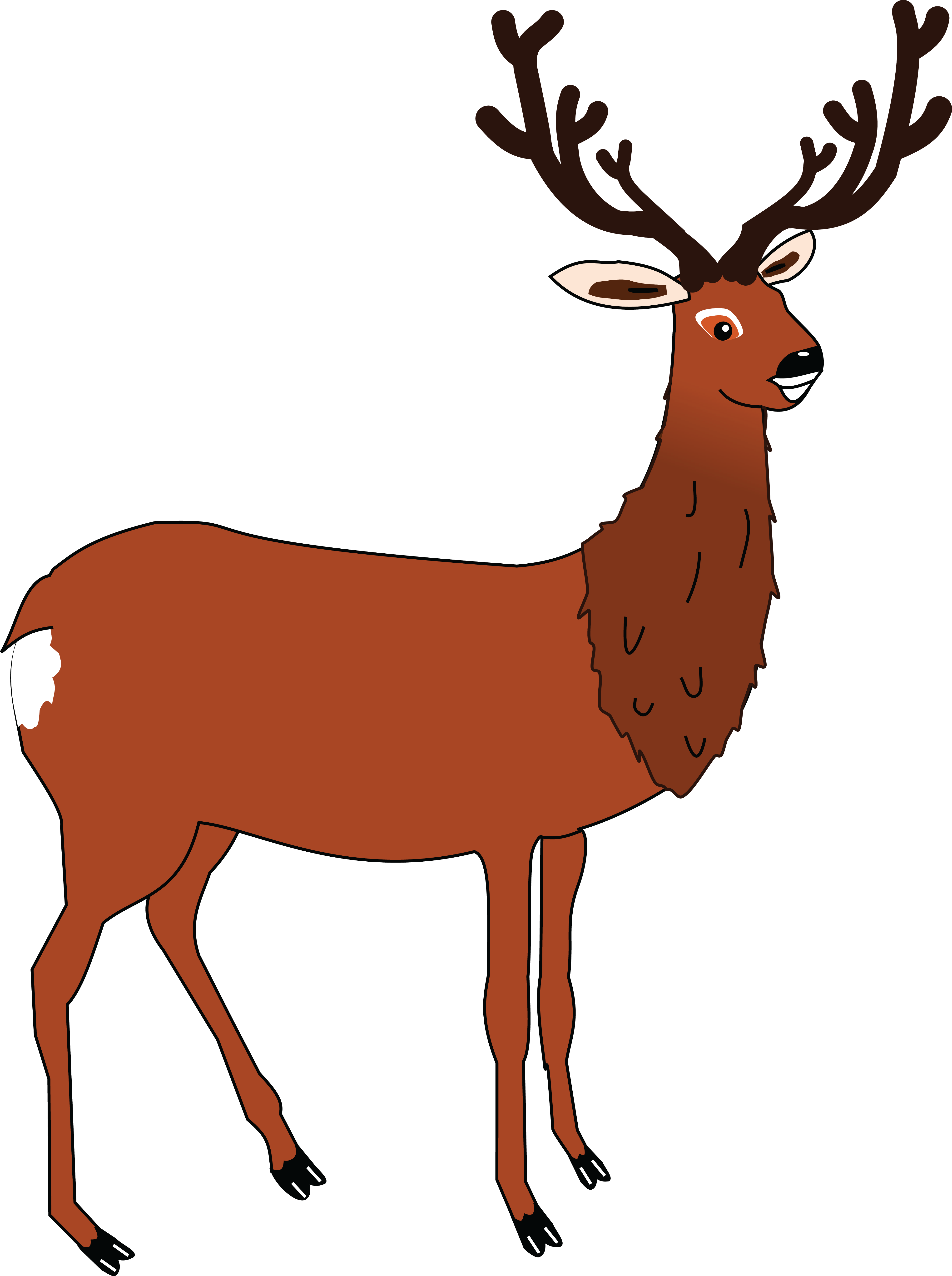 Free Clipart Of A Buck Deer - Best Gift - Antler 34567 Jr Raglan Hoodie/t-shirt/mug (4000x5361)
