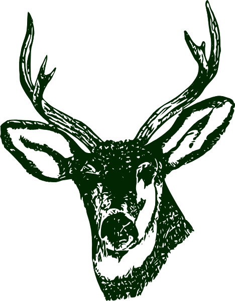 Deer Head Green (468x598)