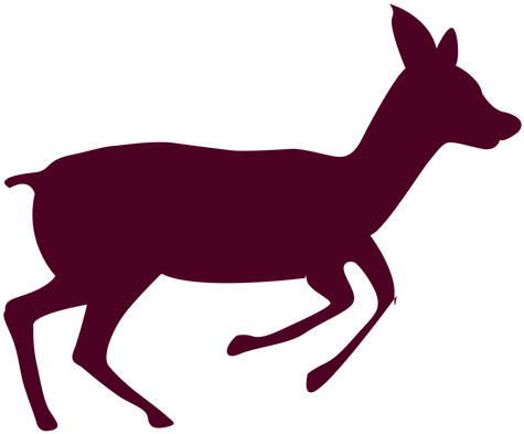 Download Free Photo Report - Deer Running Sequence 1 (512x512)