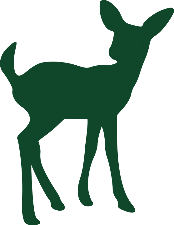 Deer Clipart Green - Fawn Silhouette Vector (557x720)