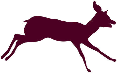 Download Free Photo Report - Background Animal Deer Running (512x512)
