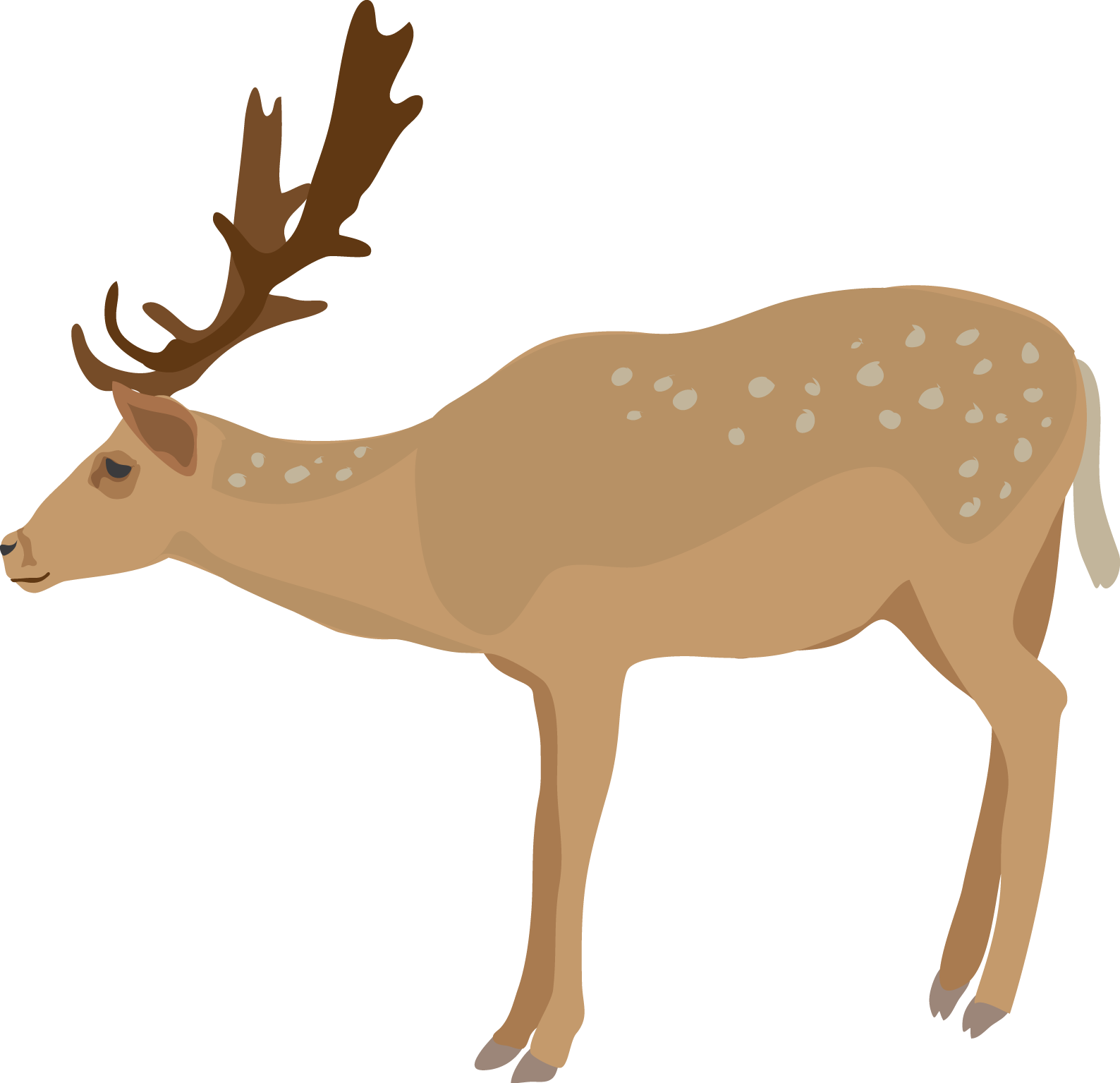Deer Clipart - Deer Clipart No Background (1588x1535)
