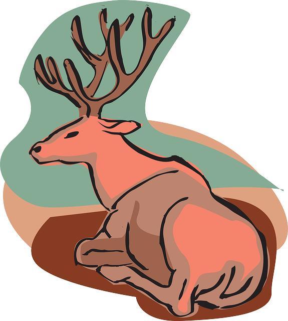 Draw A Sitting Deer (575x640)