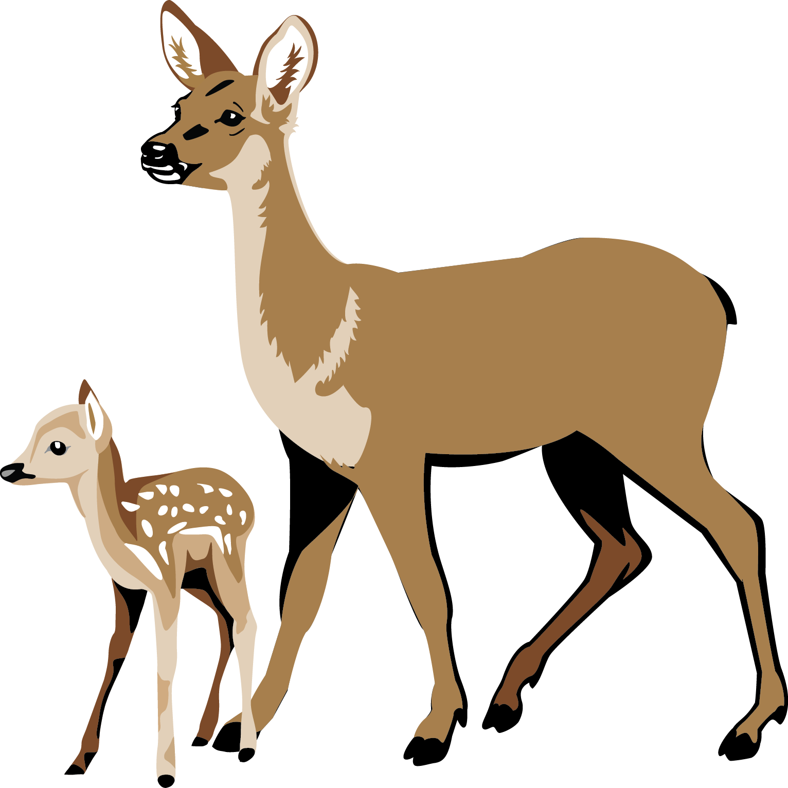 Deer Head - White Tailed Deer Clipart (1532x1532)
