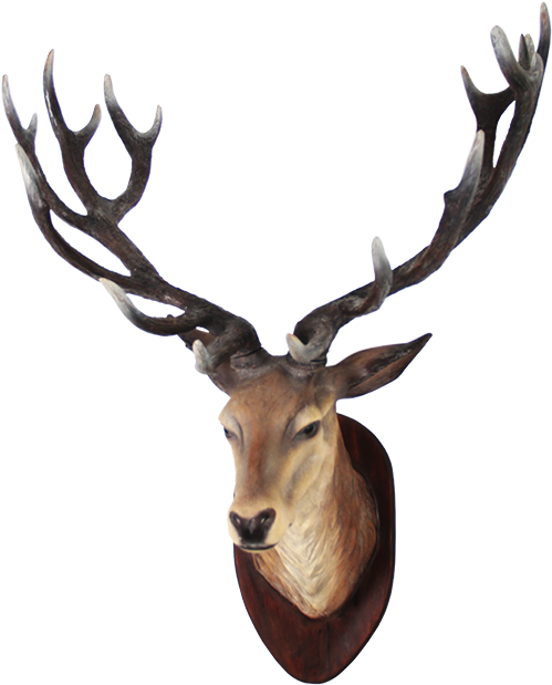 Clipart Png Deer Best - Deer Head Transparent (640x640)