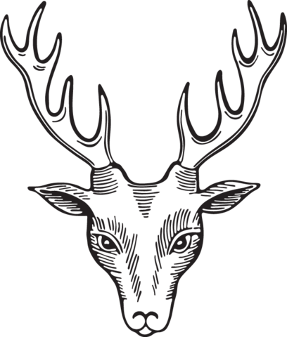 Deer - Encapsulated Postscript (408x480)