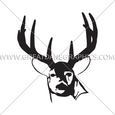 Deer Head Stare - Deer (385x385)