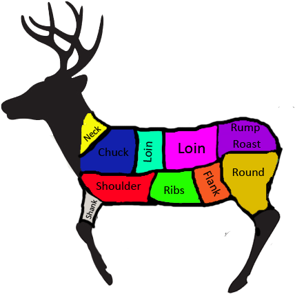 Cuts Of Meat On Deer (640x480)