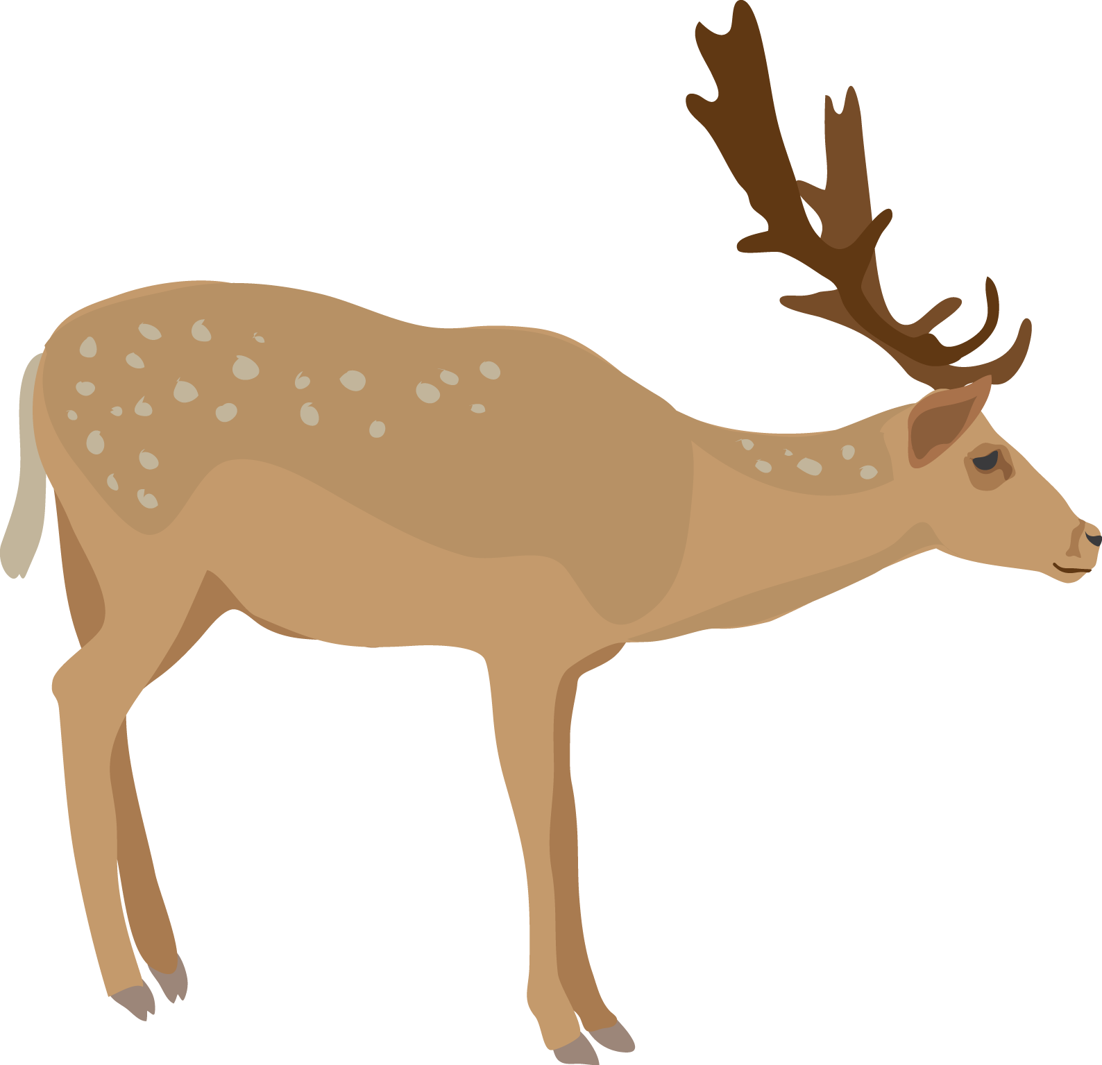 Deer Clipart - Elk (1588x1535)