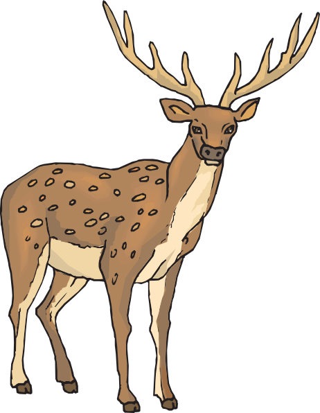Deer Clipart Png (462x596)