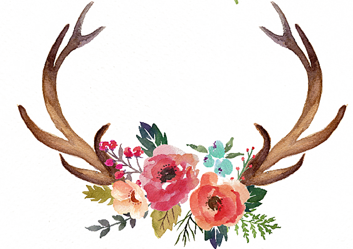 Deer Antler Flower Moose Clip Art - Antlers With Flowers Clipart (1145x808)