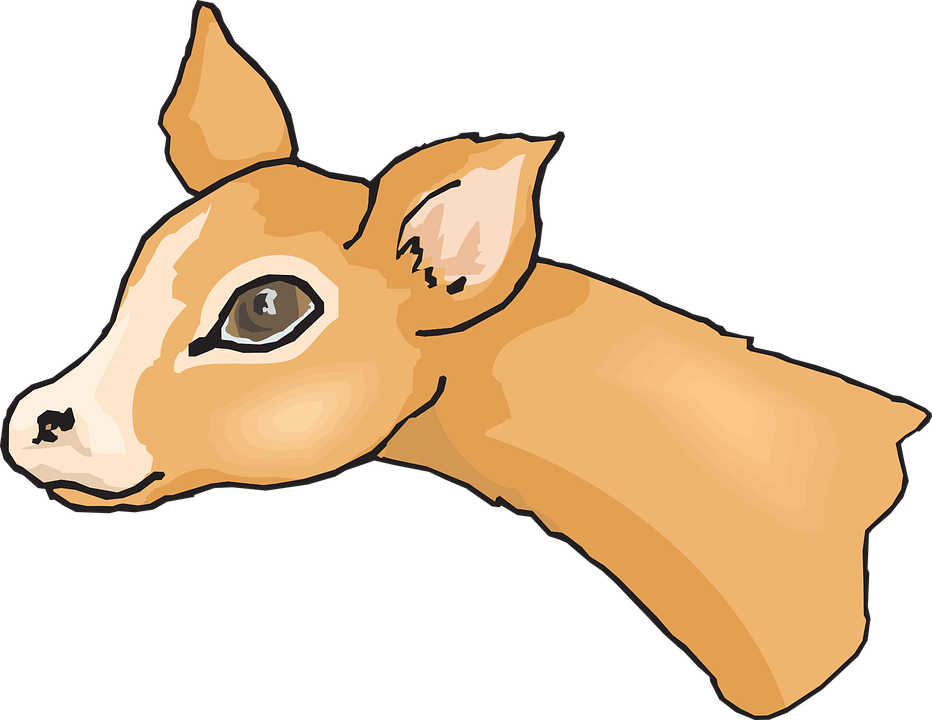 Animal Head, Eyes, Deer, Big, Cute, Animal - Deer Face Cartoon (932x720)