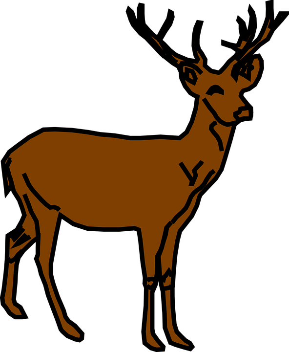 Stag Clipart Rusa - Small Deer Clipart (592x720)