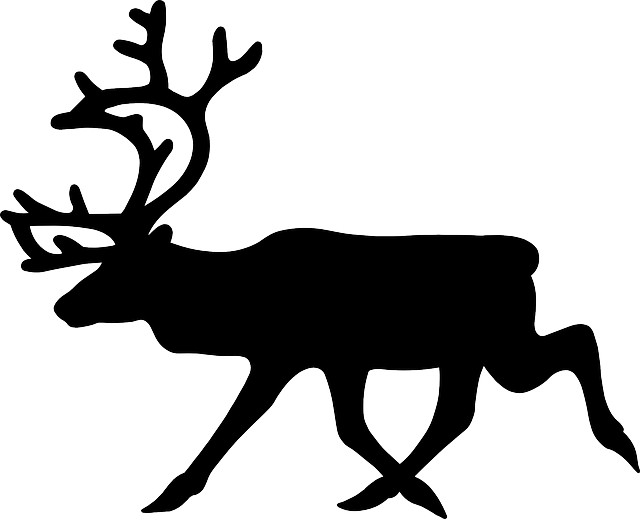 Moose, Elk, Deer, Animal, Mammal - Reindeer Black And White (640x519)