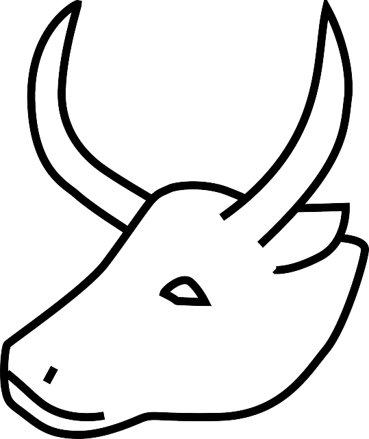 Cow - Horn Of Animals Drawing (539x640)
