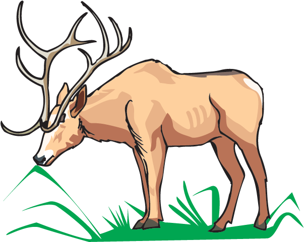 Elk Eating - Love Reindeer Pillow Case (641x480)