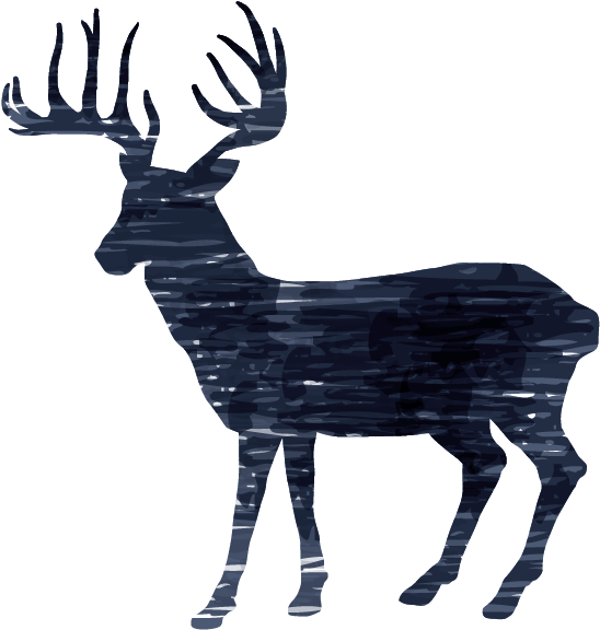 Pin It On Pinterest - Aubree Perrenoud - Deer Shiplap Canvas (624x600)
