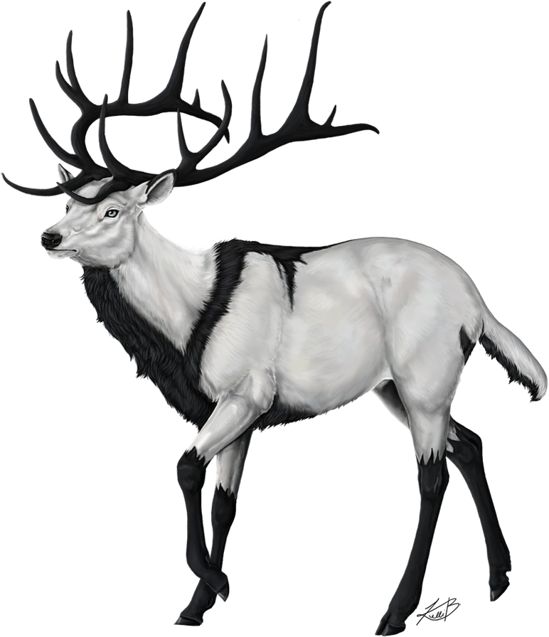 Clip Arts Related To - Endless Forest Arts (800x925)