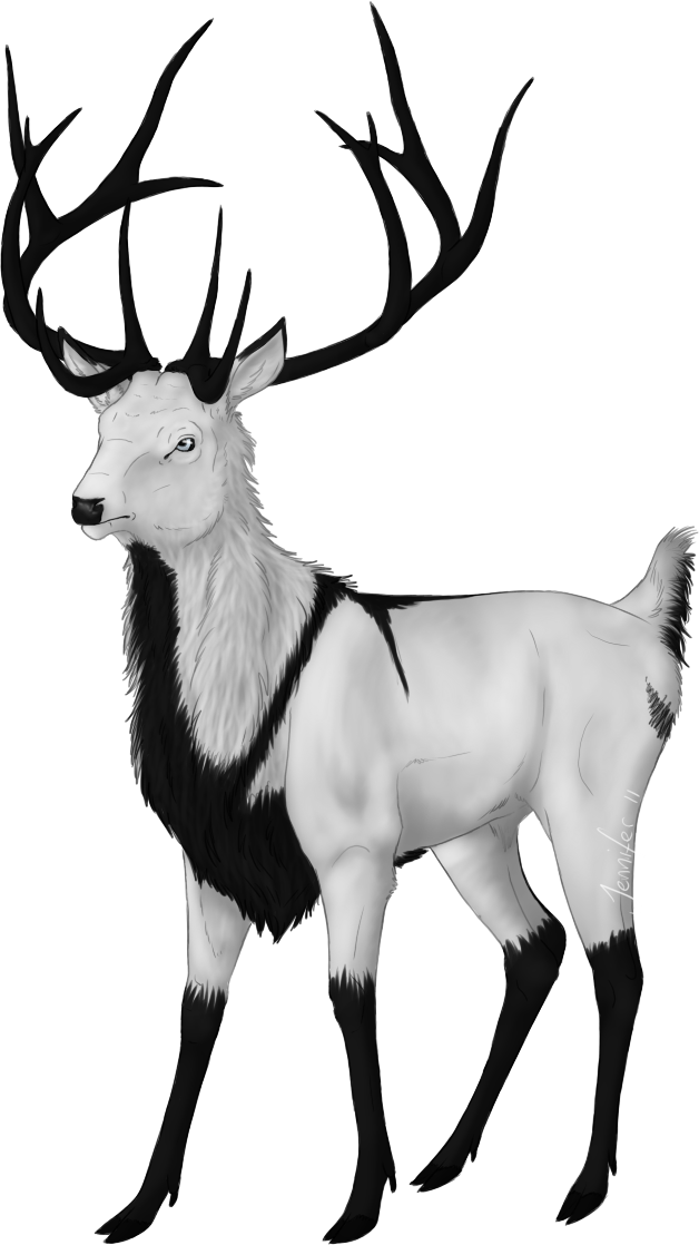 E V E N I D E - The Endless Forest (628x1118)