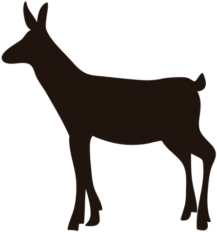 Download Free Photo Report - Donkey Svg (512x512)