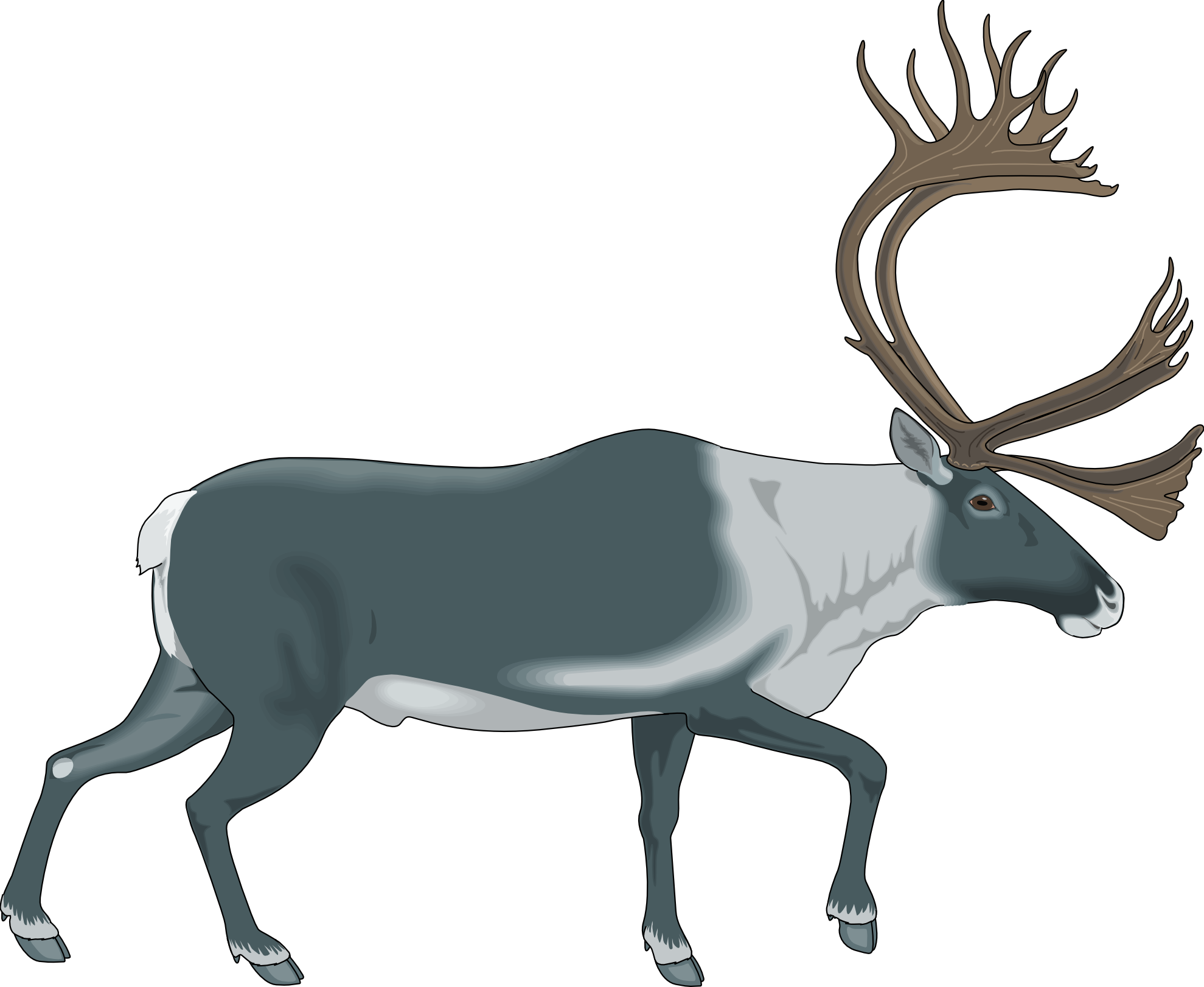 Animal 7 Free Vector - Caribou Clipart (1979x1622)