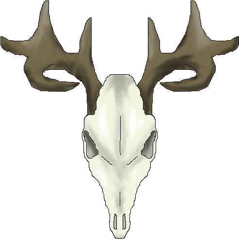 Drawings Of Deer Skulls - Animal Skull Cartoon Transparent (502x500)