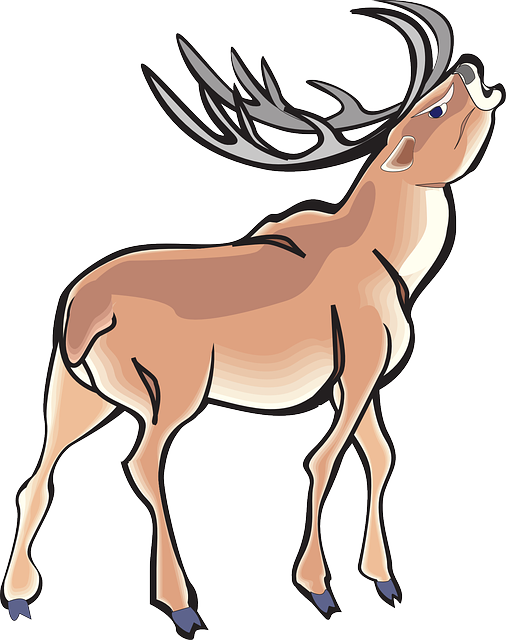 Antlers Angry, Deer, Wild, Art, Animal, Antlers - Angry Deer Clipart (506x640)
