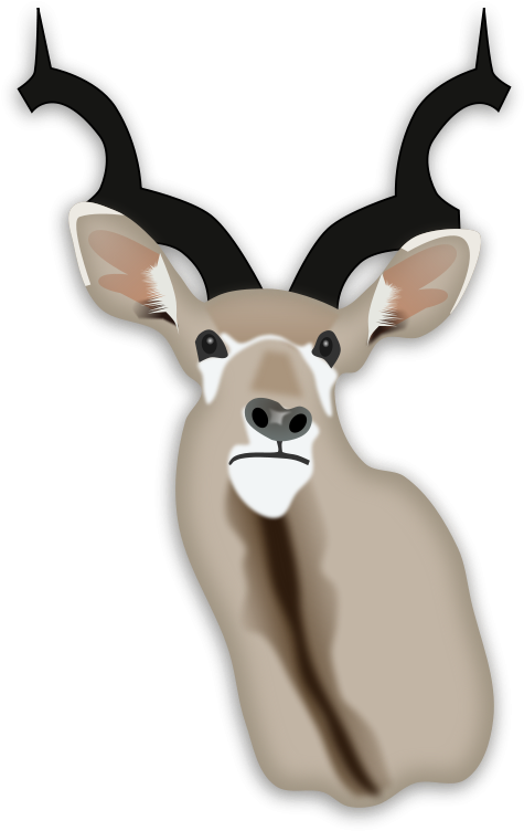 Free Hunting Trophy Free Stag Head - Custom Antelope Head Shower Curtain (523x800)