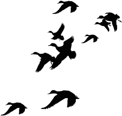 Hunting Clipart Waterfowl - Duck Silhouette (417x382)