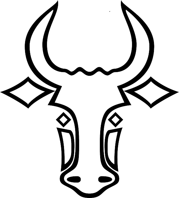 Animal - Bull Outline (579x640)