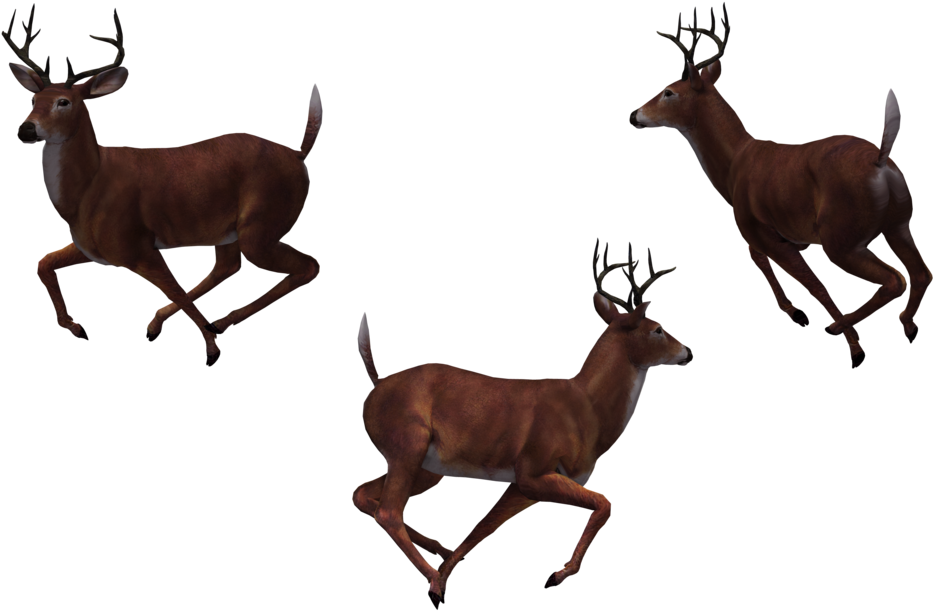 Buck 11 By Free Stock By Wayne - Clip Art (1024x645)
