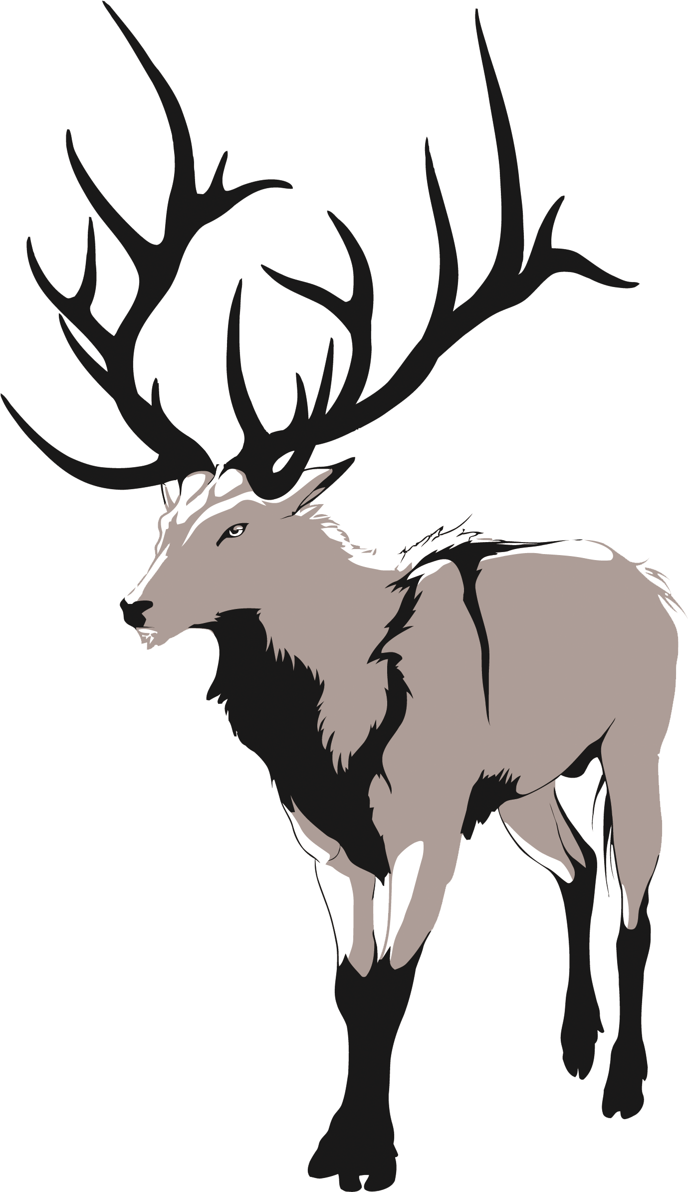 Red Deer Artemis Drawing - Red Deer Artemis Drawing (1500x2500)