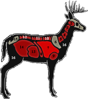 Virginief - Hunter Whitetail Deer Location (362x380)