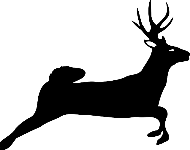 Silhouette Animal, Deer, Nature, Silhouette - Deer Jumping Clipart (640x506)