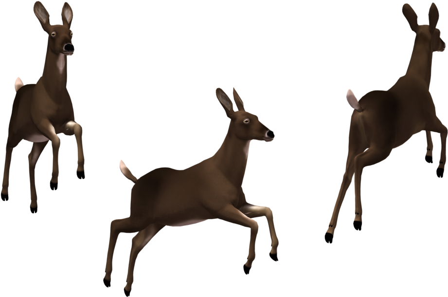 Doe 02 By Free Stock By Wayne On Clipart Library - Deer (1024x645)