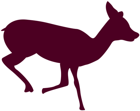 Deer Free Png Transparent Background Images Free Download - Deer Running Sequence 1 (512x512)