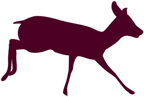 Deer Free Png Transparent Background Images Free Download - Deer Running Sequence 1 (512x512)