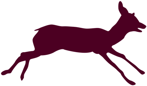 Deer Free Png Transparent Background Images Free Download - Deer (512x512)