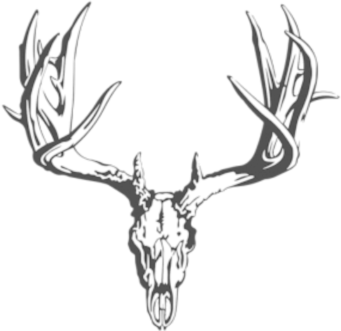 Subscribe To Our Newsletter - Elk (512x512)