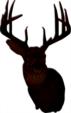 Wisconsin Trophy Whitetail Hunting Preserve - Outfitter (285x450)