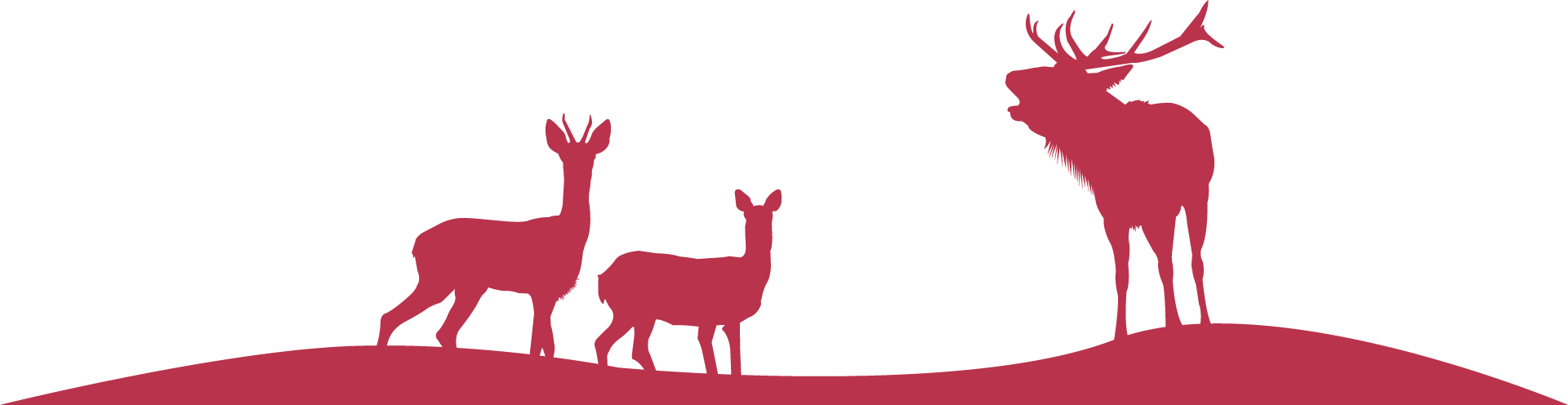 Roe Deer (1920x496)