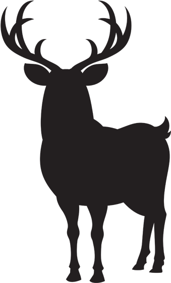 2018 Coues Deer Hunting Rates - Decoration Vinyl Stickers Deer Hunting Design Decoration (600x600)