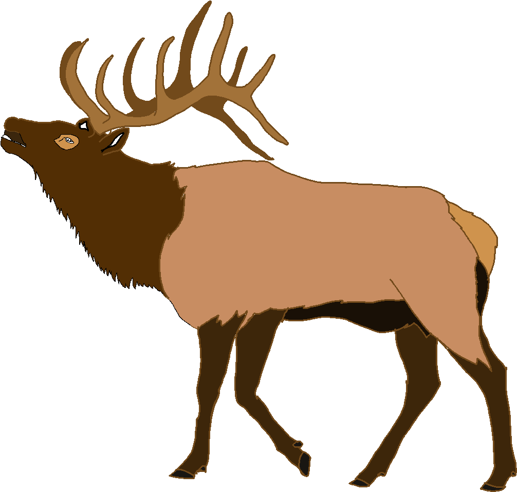 Elk Clipart - Stock.xchng (1787x1200)