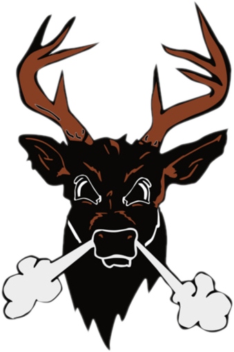 Buckeye Bucks - Buckeye High School (339x510)