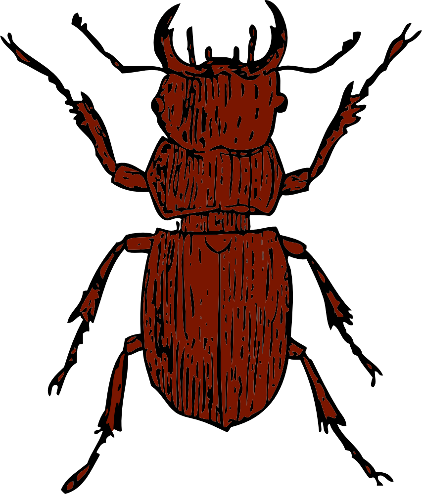 Stag Beetle Clipart (853x1000)