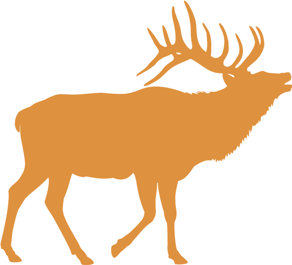 Select A Species To Learn More - Elk Silhouettes (600x600)