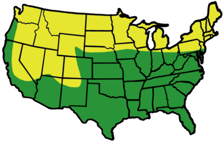 Buck Forage - Gun Crime By State (480x338)