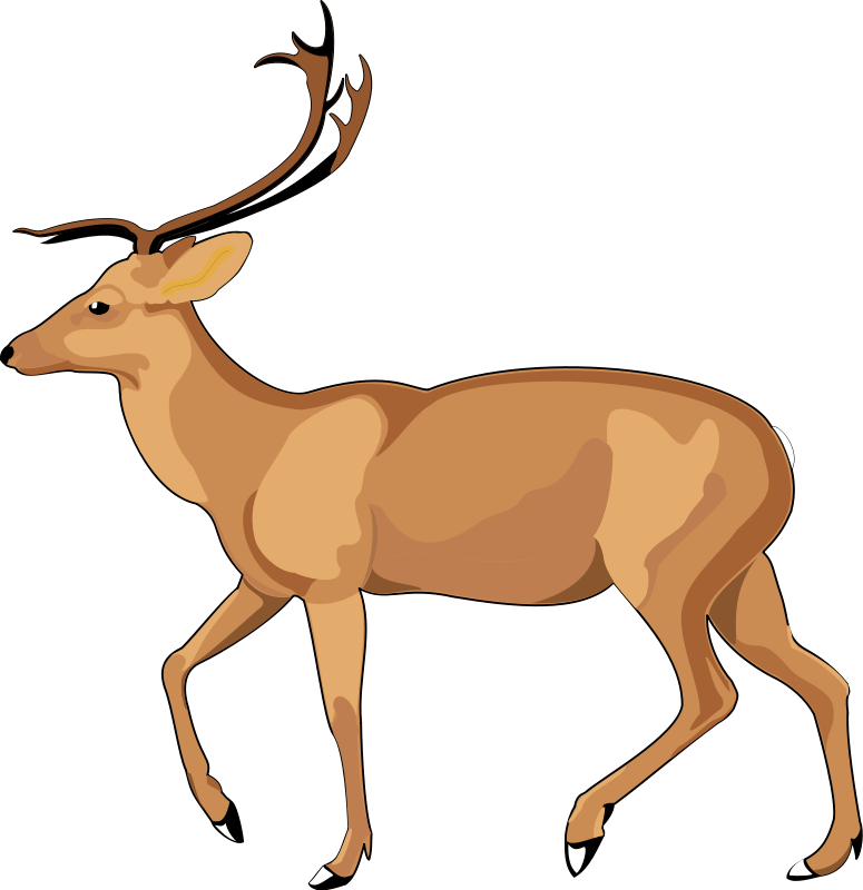 Animal 8 Free Vector - Debden Park High School (775x800)