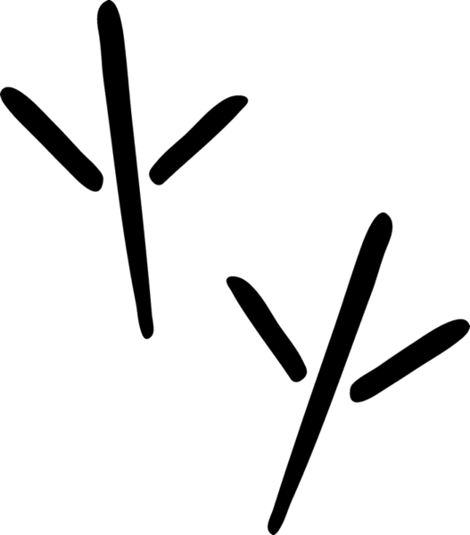 Grey Heron Tracks Rubber Stamp - Heron Footprint (527x600)